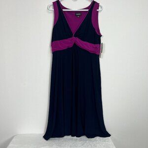 Adrianna Papell Navy and Magenta Midi Dress